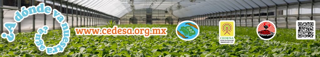 Adónde va nuestra agua