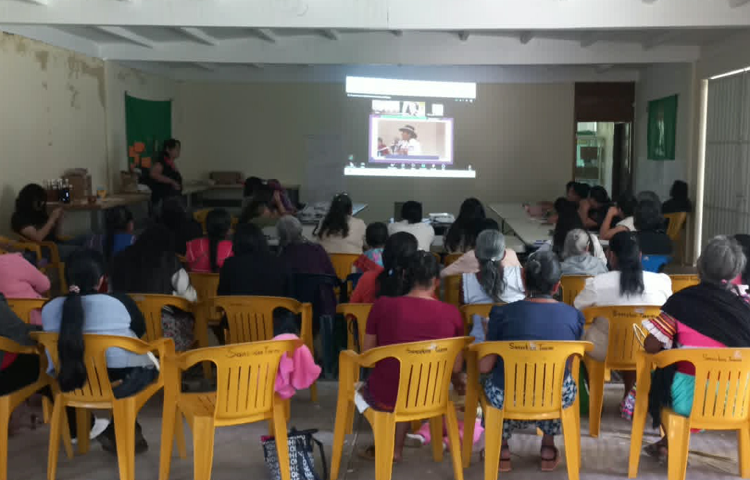 iala-mujeres_07
